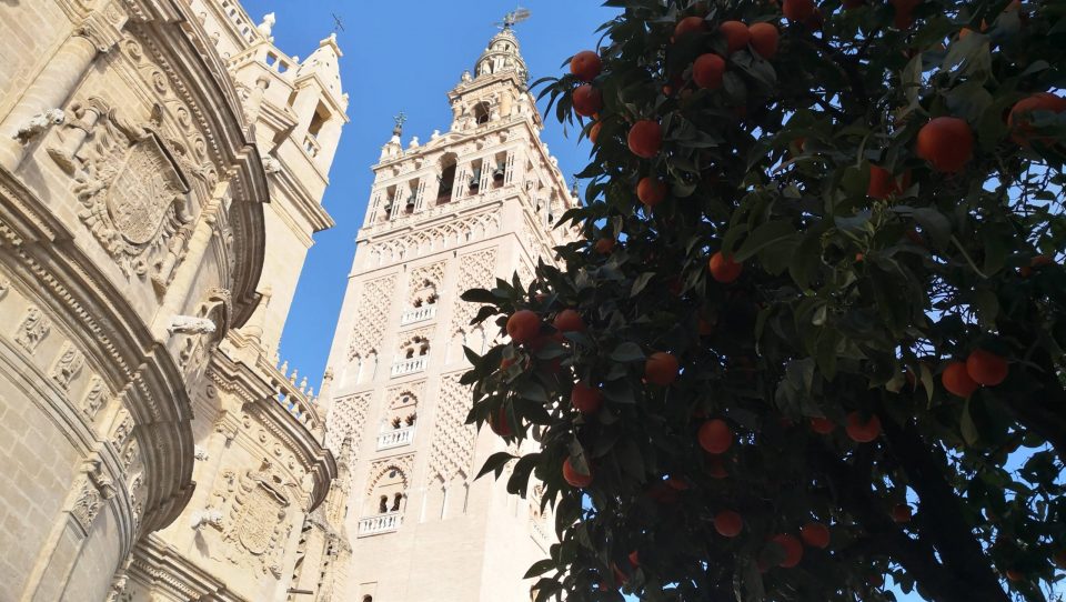 Cathedral of Seville guided tour 4 highlights of seville
